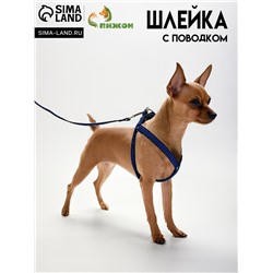 Комплект амуниции рельефный, поводок 120×1.5 см, ОГ 36-49 см, сине-чёрный