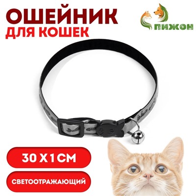 Ошейник кошачий «Рыбки», со светоотражающим покрытием, 30×1 см, серебристый