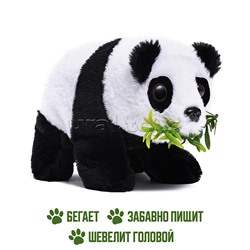 Панда "Руди" (ходит, издаёт звуки) в пакете