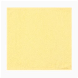 Салфетки махровые «Этель. Пчёлка», 3 шт., 30×30 см, хлопок 100%,