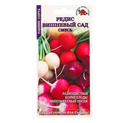 Семена Редис «Вишнёвый сад», смесь, 2 г, ранний, «Золотая Сотка Алтая»