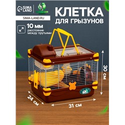 Клетка для грызунов «Пижон», 31×24×30 см, коричневая