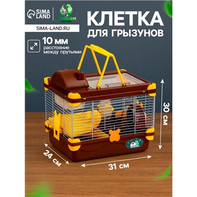 Клетка для грызунов «Пижон», 31×24×30 см, коричневая