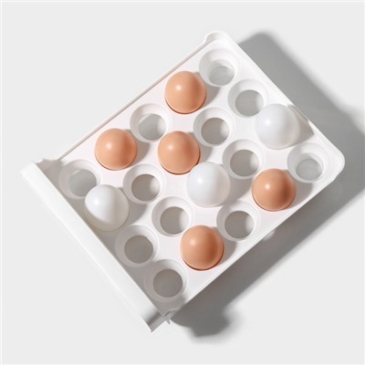 Контейнер для яиц Доляна, 40 ячеек, 27×22×16 см, пластик, белый