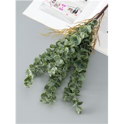 Цветы искусственные «Эвкалипт цинерия галант», h=51 см, зелёные