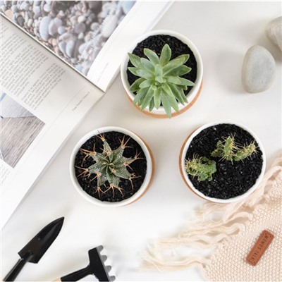 Горшок для цветов «Эко» керамический, 500 мл, 10×9.5 см, с деревянной подставкой, белый