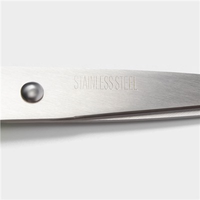 Ножницы кухонные Доляна «Саймон», 23 см, зелёные