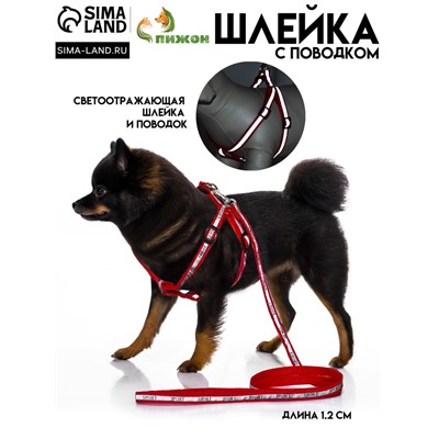 Комплект «Спорт» светоотражающий, поводок 120×1 см, ОГ 23-35 см, красный