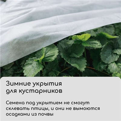 Материал укрывной, 5×3.2 м, плотность 42 г/м², спанбонд с УФ-стабилизатором, белый, Greengo, Эконом 30%