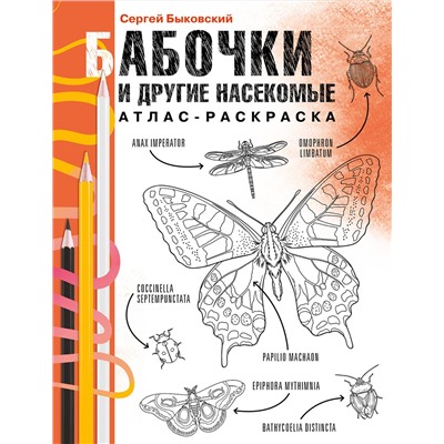 АСТ Сергей Быковский "Бабочки и другие насекомые. Атлас-раскраска"