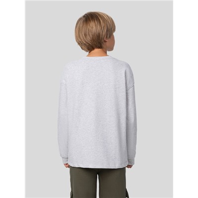 ЛОНГСЛИВ ДЛЯ МАЛЬЧИКОВ 123475