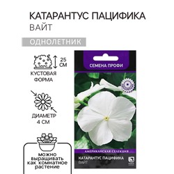 Семена цветов Катарантус Пацифика "Вайт"  10 шт