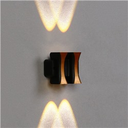 Светильник фасадный «Элегант», 4 Вт, 3000К, 2 луча, IP65, 220 В, пластиковый корпус, чёрный, свечение тёплое белое