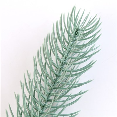 Ветка еловая голубая, 21×4 см, набор 50 шт.