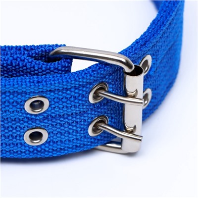 Ошейник четырехслойный, 65×4 см, ОШ 54-60 см, с вертлюгом, полиэстер, синий