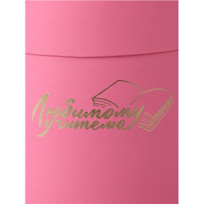 Набор круглых подарочных коробок «Учителю», розовый, 2 в 1 - 16×16 - 13×13 см