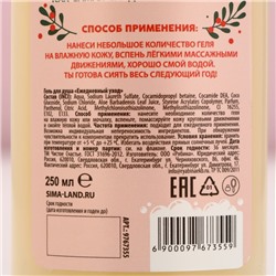 Гель для душа «Ты не подарок, но и я не Санта», 250 мл, аромат сладкой ванили, Чистое счастье