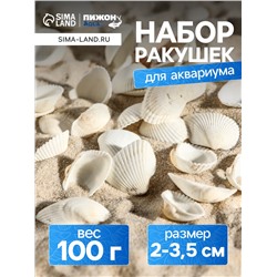 Набор ракушек, 2 - 3.5 см, 100 г