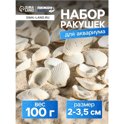 Набор ракушек, 2 - 3.5 см, 100 г