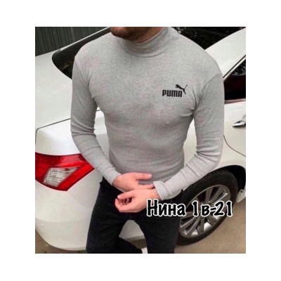 Водолазка #22294077