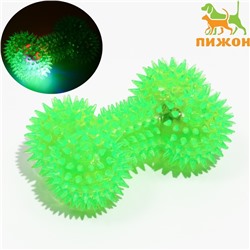 Игрушка для собак «Светящаяся кость», TPR, 10.5 см, зелёная