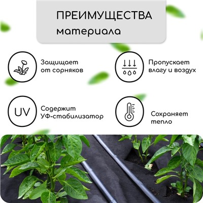 Материал мульчирующий, с перфорацией (4 ряда), 20×1.6 м, плотность 80 г/м², спанбонд с УФ-стабилизатором, чёрный, Greengo, Эконом 30%