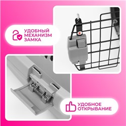 Переноска пластиковая «Неон» 48×32×29.5 см, вес животного до 12 кг, серая