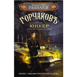 378288 АСТ Валерий Пылаев "Горчаков. Юнкер"