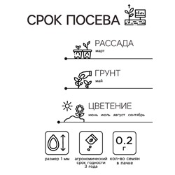 Семена  цветов Флокс "Каприз", смесь окрасок, О, 0,2 г