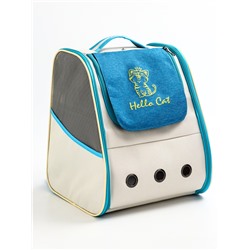 Рюкзак для переноски кошек и собак, прозрачный, 32×28×38 см, бело-синий