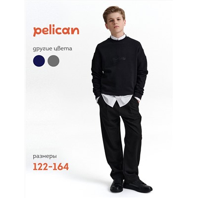 PELICAN Брюки BWP7123