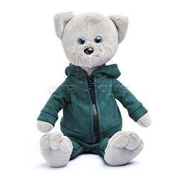 Кот Фаня в спортивном костюме В27