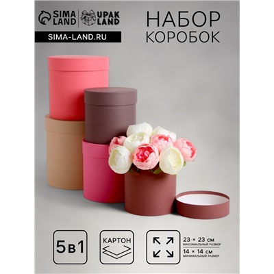 Набор шляпных подарочных коробок 5 в 1« Кофейный», 23×23 - 14×14 см