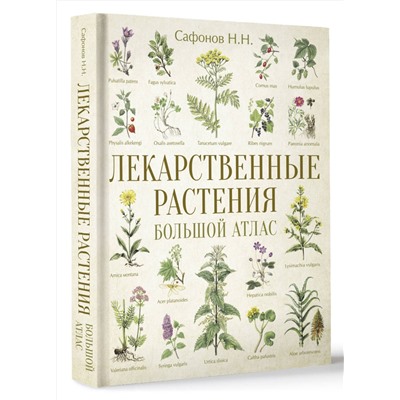 АСТ Сафонов Н.Н. "Лекарственные растения. Большой атлас"