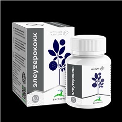 Экстракт элеутерококка 60 капс.