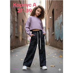 штаны 2054488-2