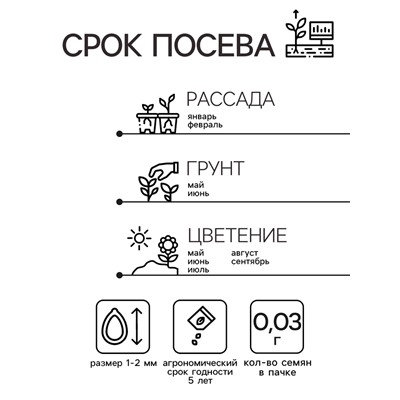 Семена цветов Пеларгония "БРИСТОЛЬ КЭНДИ", F1, 0,03 гр.