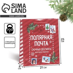 Пакет подарочный новогодний ламинированный «Полярная почта», ML 21×25×8 см