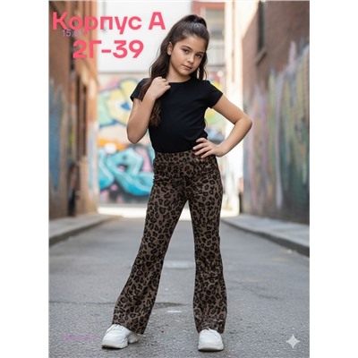 штаны 2050810-2