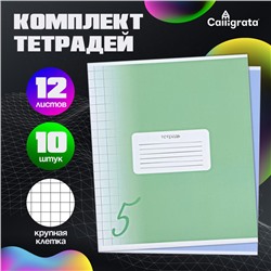 Набор тетрадей 12 листов в крупную клетку Calligrata «Пятёрка», обложка мелованный картон, МИКС