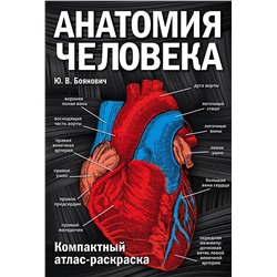 Эксмо Ю. В. Боянович "Анатомия человека: компактный атлас-раскраска"
