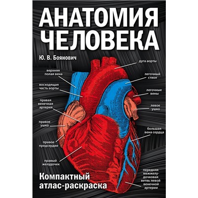 Эксмо Ю. В. Боянович "Анатомия человека: компактный атлас-раскраска"