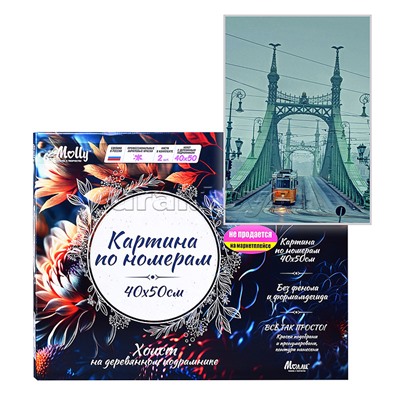 Картина по номерам 40х50 "Будапешт. Мост свободы" (12 цв.)