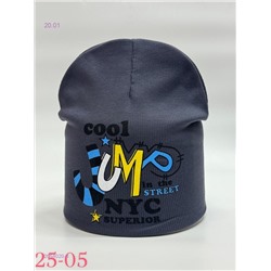 шапка 2054020-3