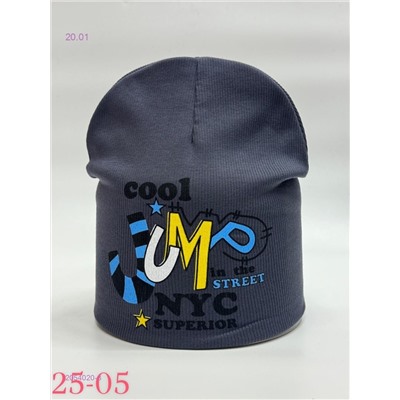 шапка 2054020-3