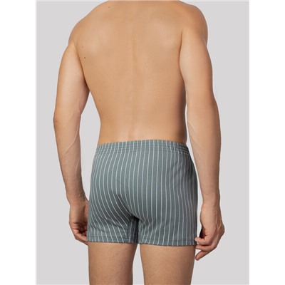 ТРУСЫ МУЖСКИЕ (2ШТ) 411152-2