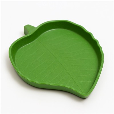 Кормушка для террариума, 12×9.5×1.35 см