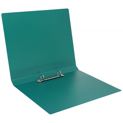 Папка пластиковая 2 кольца 25мм NP5075G зеленая 700мкм inФОРМАТ