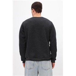 Толстовка мужская Бронд Г Арт. 10263