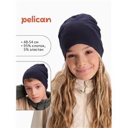 PELICAN Шапка